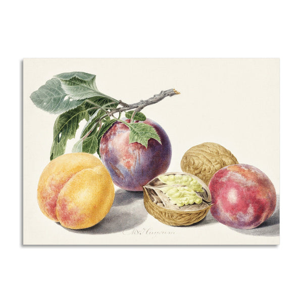 Quadro Stampa su Tela con Telaio in Legno Michiel van Huysum - Fruits