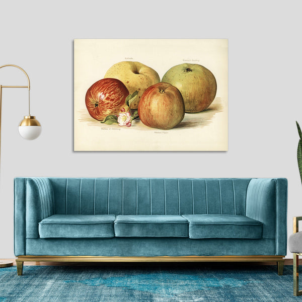 Quadro Stampa su Tela con Telaio in Legno John Wright - Apple