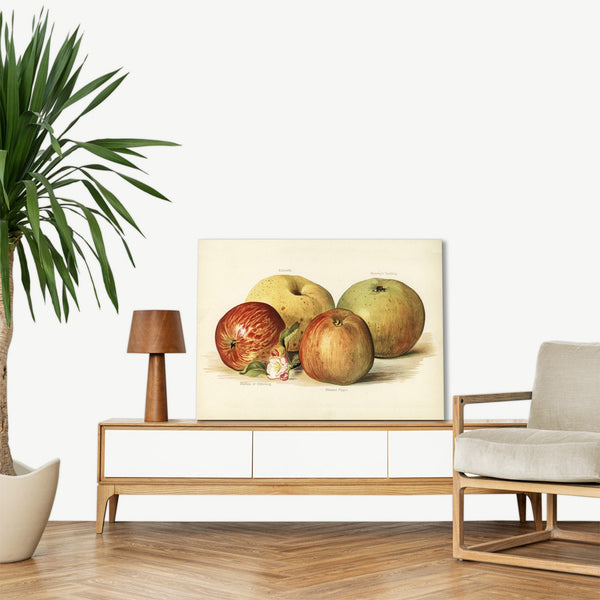 Quadro Stampa su Tela con Telaio in Legno John Wright - Apple