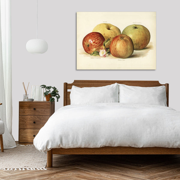 Quadro Stampa su Tela con Telaio in Legno John Wright - Apple