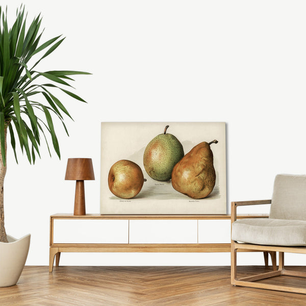 Quadro Stampa su Tela con Telaio in Legno John Wright - Pears
