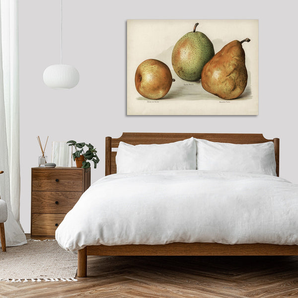 Quadro Stampa su Tela con Telaio in Legno John Wright - Pears