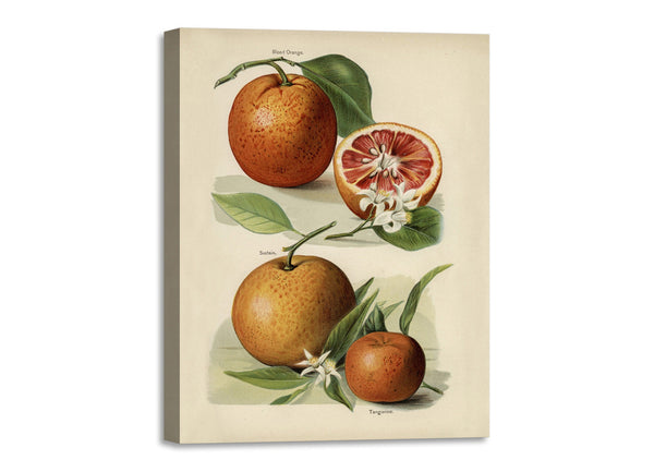 Quadro Stampa su Tela con Telaio in Legno John Wright - Orange