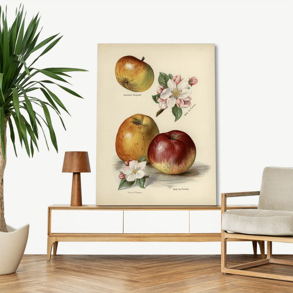 Quadro Stampa su Tela con Telaio in Legno John Wright - The fruit grower’s guide