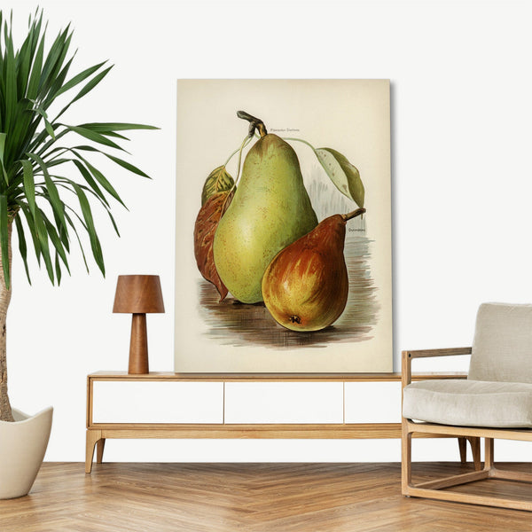 Quadro Stampa su Tela con Telaio in Legno John Wright - Pear