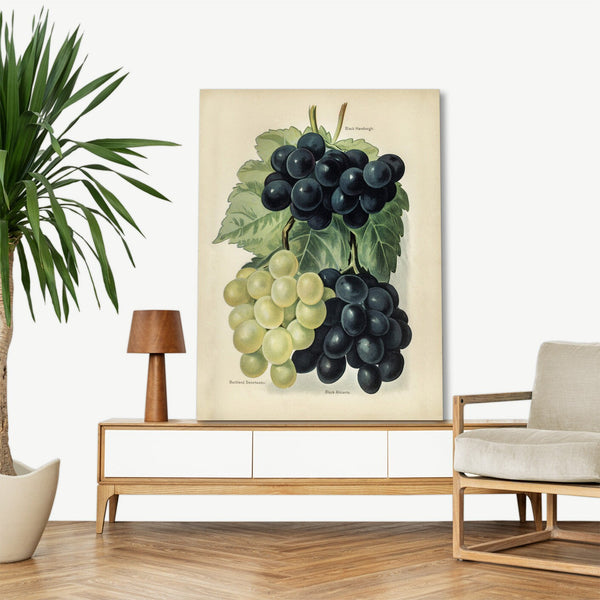 Quadro Stampa su Tela con Telaio in Legno John Wright - Grape