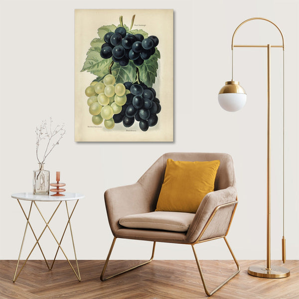Quadro Stampa su Tela con Telaio in Legno John Wright - Grape