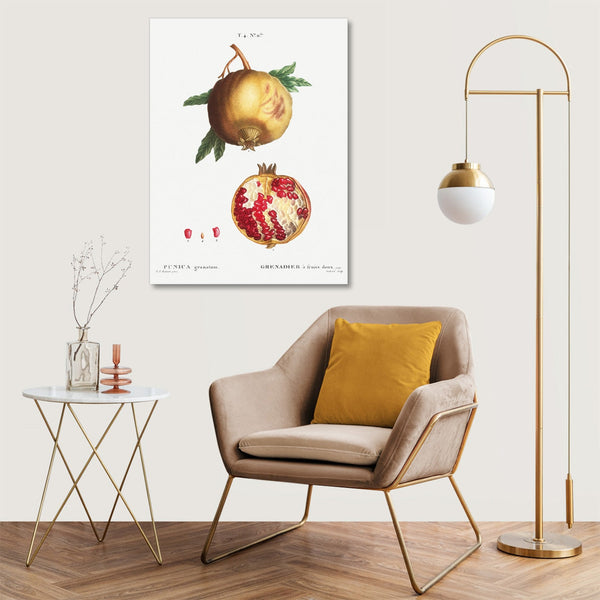 Quadro Stampa su Tela con Telaio in Legno Pierre-Joseph Redouté - Pomegranate