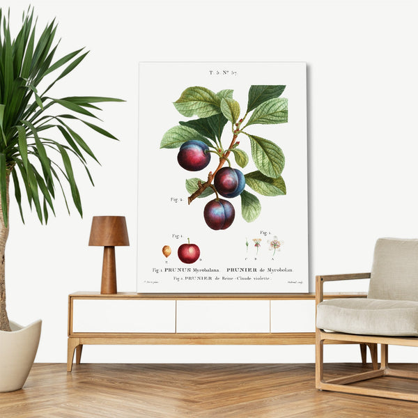 Quadro Stampa su Tela con Telaio in Legno Bitter orange plum