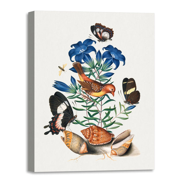 Quadro Stampa su Tela con Telaio in Legno James Bolton - Red Avadavat