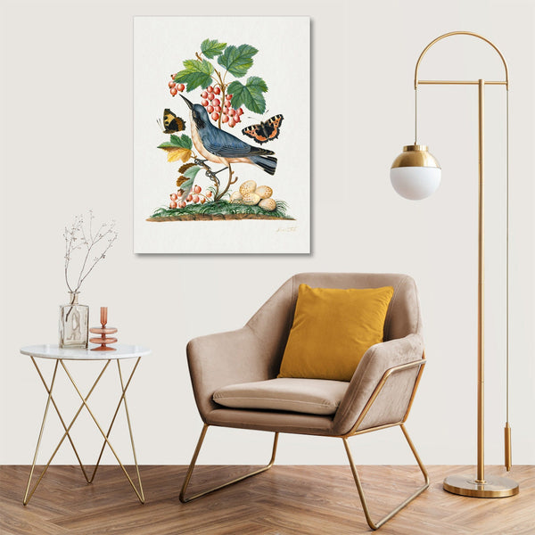 Quadro Stampa su Tela con Telaio in Legno James Bolton - Subalpine warbler and eggs