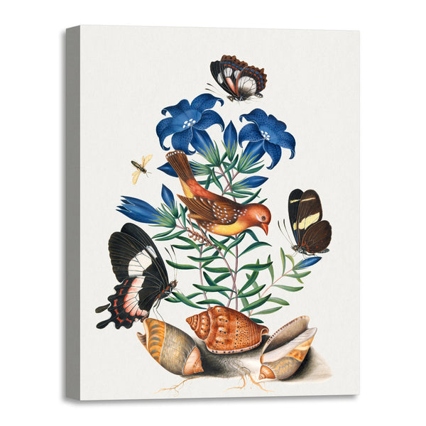 Quadro Stampa su Tela con Telaio in Legno James Bolton - European robin and wild strawberry