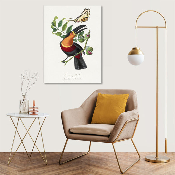 Quadro Stampa su Tela con Telaio in Legno Paul Gervais - Channel billed toucan bird painting