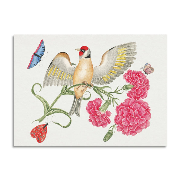 Quadro Stampa su Tela con Telaio in Legno Brown bird with red head
