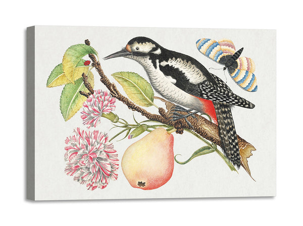 Quadro Stampa su Tela con Telaio in Legno Bird perched on a branch which bears a pear