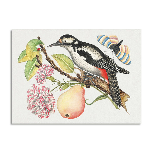 Quadro Stampa su Tela con Telaio in Legno Bird perched on a branch which bears a pear