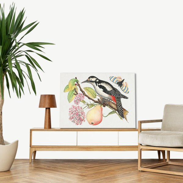 Quadro Stampa su Tela con Telaio in Legno Bird perched on a branch which bears a pear