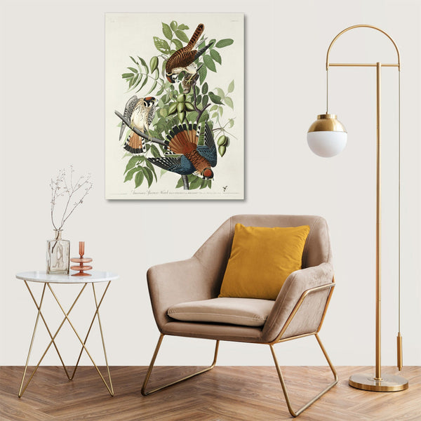 Quadro Stampa su Tela con Telaio in Legno John James Audubon - American Sparrow Hawk from Birds of America