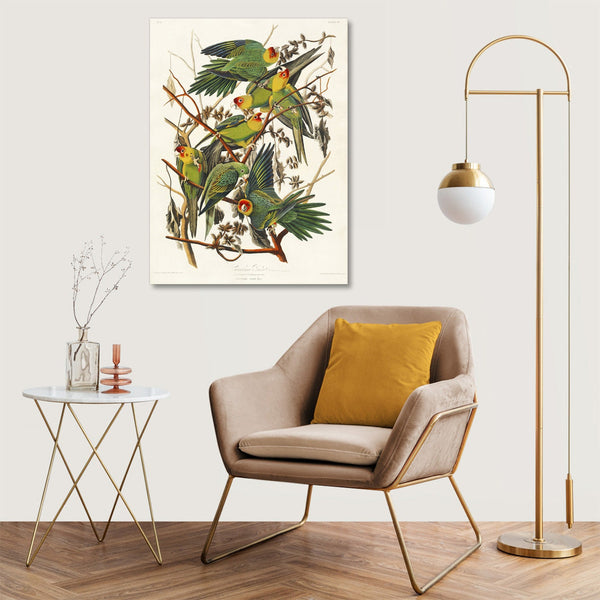 Quadro Stampa su Tela con Telaio in Legno John James Audubon - Carolina Parrot from Birds of America