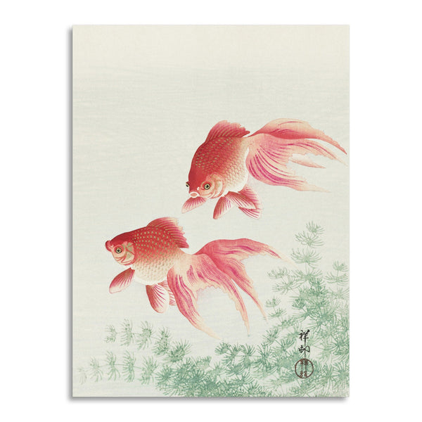 Quadro Stampa su Tela con Telaio in Legno Ohara Koson - Two veil goldfish
