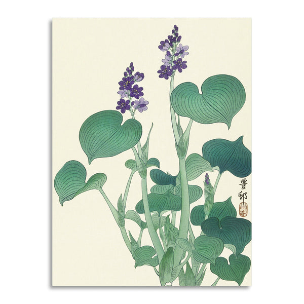 Quadro Stampa su Tela con Telaio in Legno Ogata Gekko - Blooming hosta