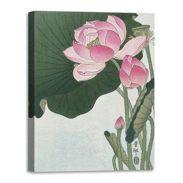 Quadro Stampa su Tela con Telaio in Legno Ogata Gekko - Blooming lotus flowers