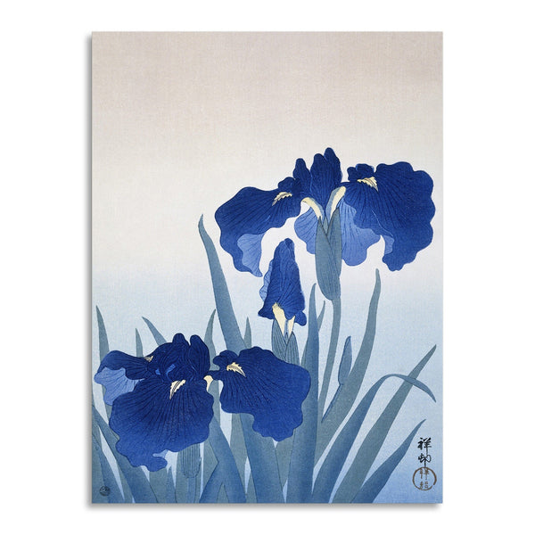 Quadro Stampa su Tela con Telaio in Legno Ogata Gekko - Iris flowers