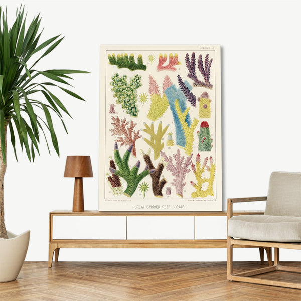 Quadro Stampa su Tela con Telaio in Legno William Saville-Kent - The Great Barrier Reef of Australia