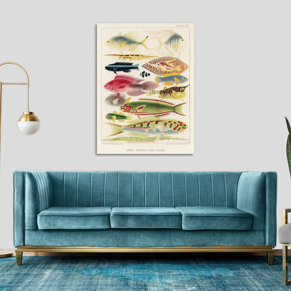Quadro Stampa su Tela con Telaio in Legno William Saville-Kent - The Great Barrier Reef of Australia