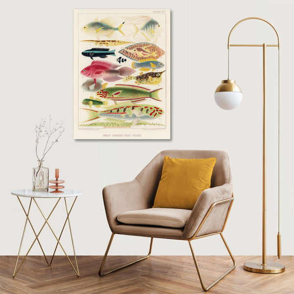 Quadro Stampa su Tela con Telaio in Legno William Saville-Kent - The Great Barrier Reef of Australia