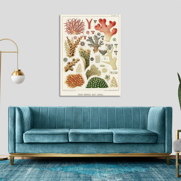 Quadro Stampa su Tela con Telaio in Legno William Saville-Kent - The Great Barrier Reef of Australia