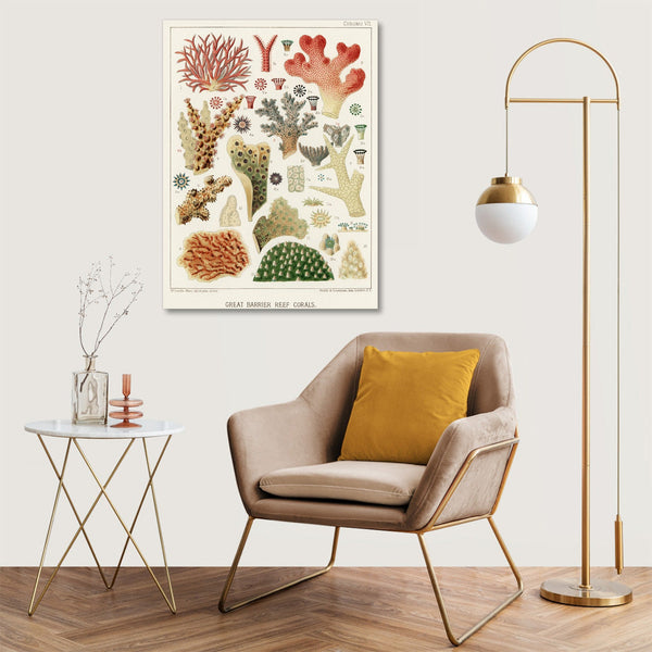 Quadro Stampa su Tela con Telaio in Legno William Saville-Kent - The Great Barrier Reef of Australia