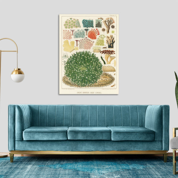 Quadro Stampa su Tela con Telaio in Legno William Saville-Kent - The Great Barrier Reef of Australia