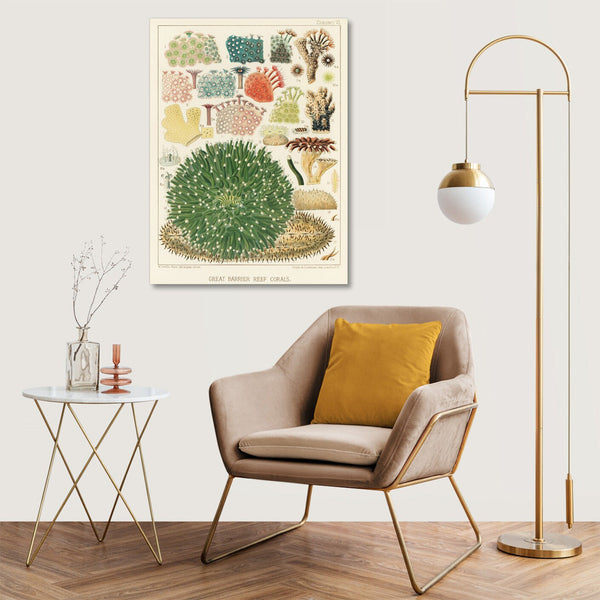 Quadro Stampa su Tela con Telaio in Legno William Saville-Kent - The Great Barrier Reef of Australia
