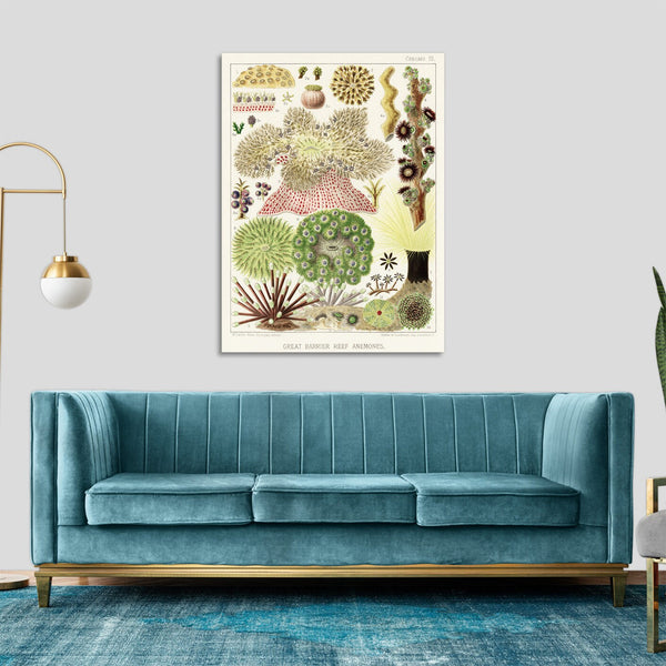 Quadro Stampa su Tela con Telaio in Legno William Saville-Kent - The Great Barrier Reef of Australia
