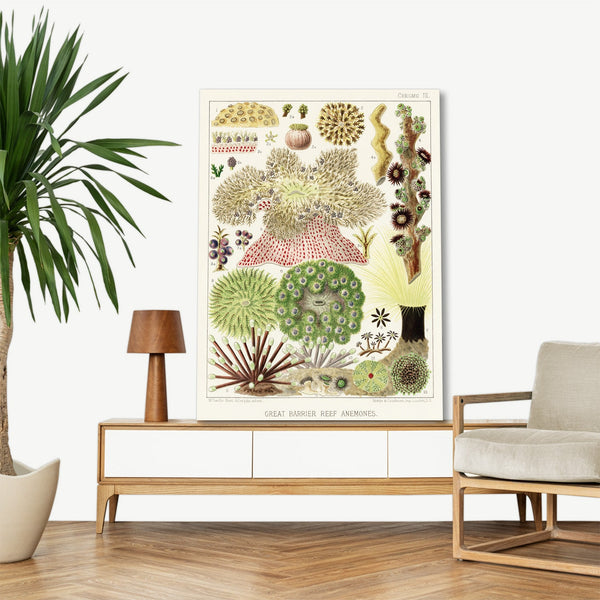 Quadro Stampa su Tela con Telaio in Legno William Saville-Kent - The Great Barrier Reef of Australia