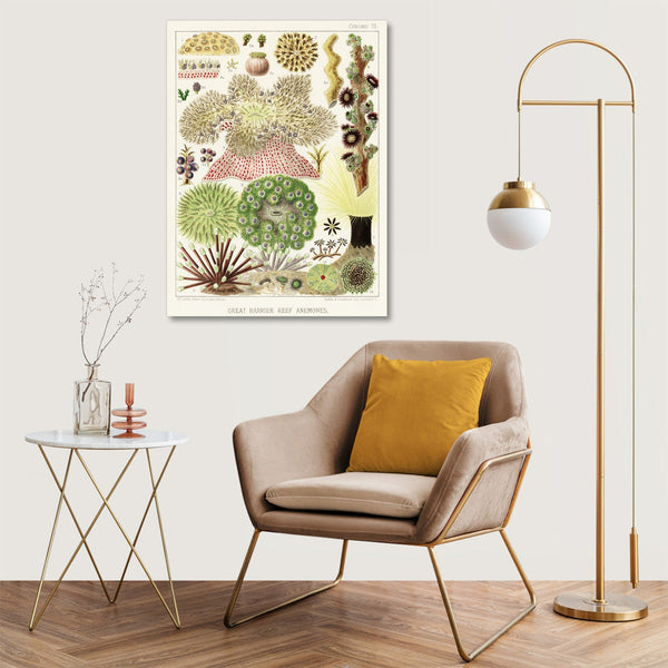 Quadro Stampa su Tela con Telaio in Legno William Saville-Kent - The Great Barrier Reef of Australia