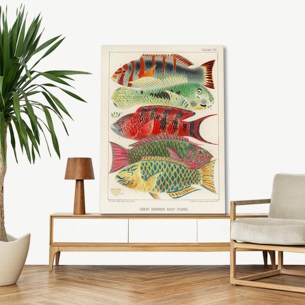 Quadro Stampa su Tela con Telaio in Legno William Saville-Kent - The Great Barrier Reef of Australia