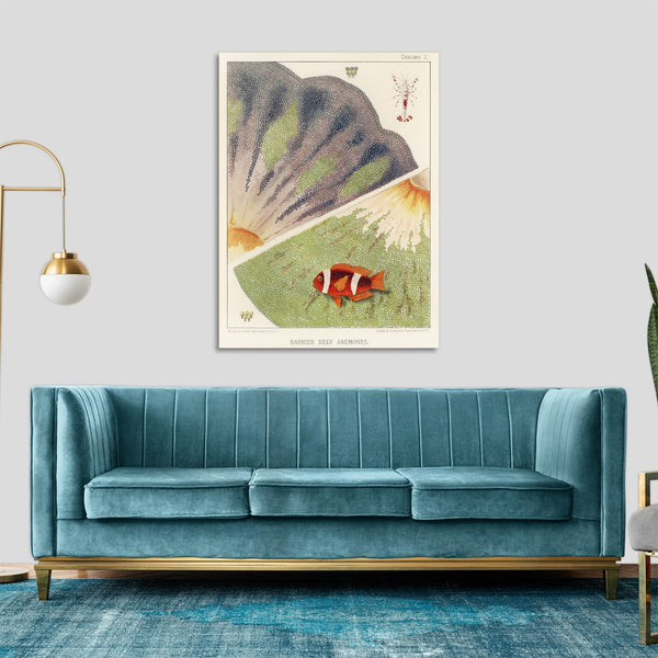 Quadro Stampa su Tela con Telaio in Legno William Saville-Kent - The Great Barrier Reef of Australia