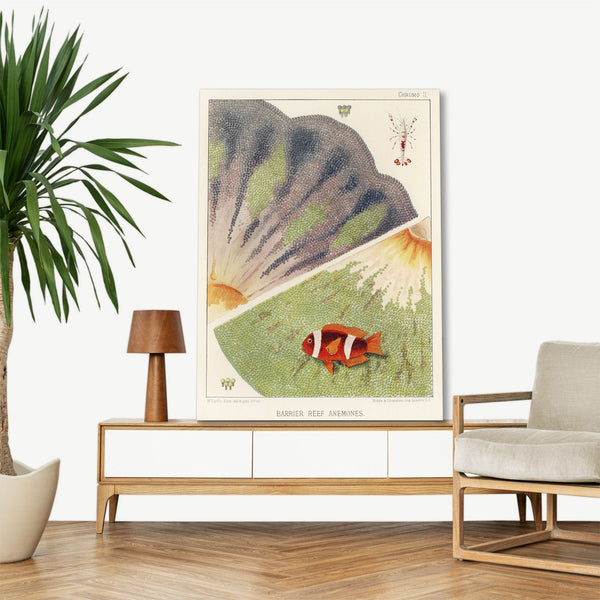 Quadro Stampa su Tela con Telaio in Legno William Saville-Kent - The Great Barrier Reef of Australia