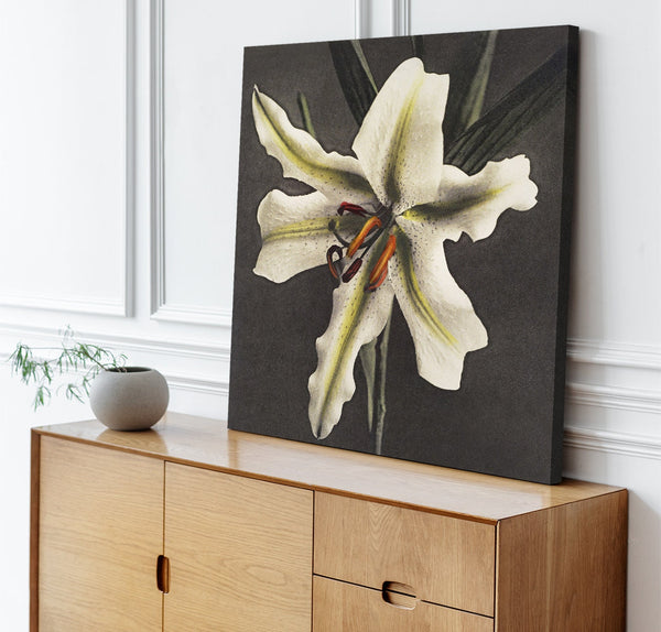 Quadro Stampa su Tela con Telaio in Legno Kazumasa Ogawa - Lily