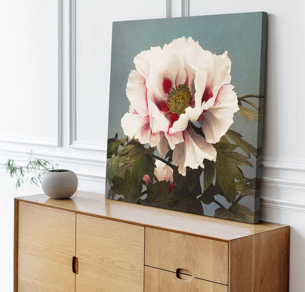 Quadro Stampa su Tela con Telaio in Legno Kazumasa Ogawa - Tree Peony