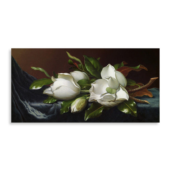 Quadro Stampa su Tela con Telaio in Legno Martin Johnson Heade - Magnolias on Light Blue Velvet Cloth