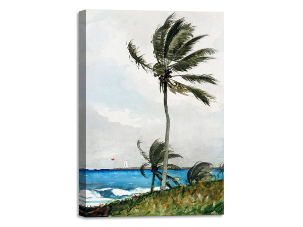 Quadro Stampa su Tela con Telaio in Legno Winslow Homer - Palm Tree, Nassau