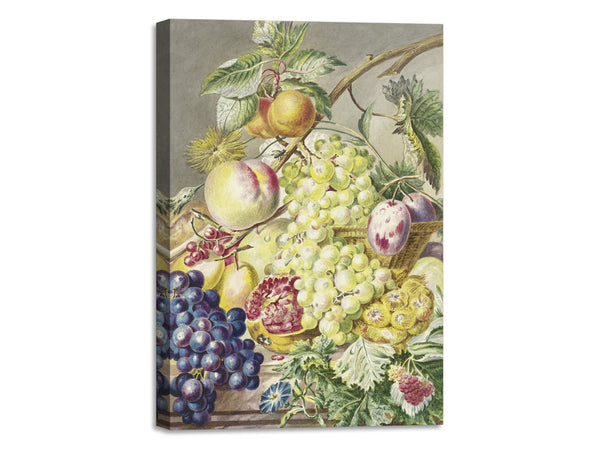 Quadro Stampa su Tela con Telaio in Legno Cornelis Ploos van Amstel - Fruitstuk