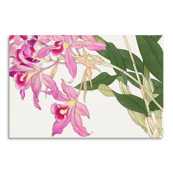 Quadro Stampa su Tela con Telaio in Legno Seiyo Soka Zufu - Vintage laelia flower