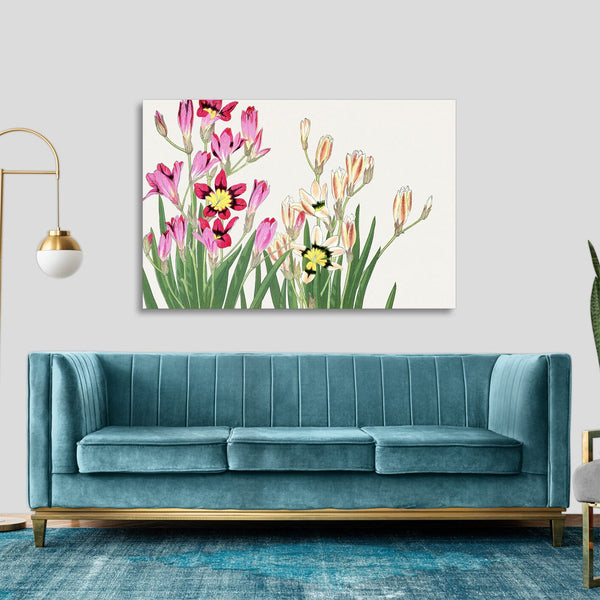 Quadro Stampa su Tela con Telaio in Legno Seiyo Soka Zufu - Vintage ixia flower