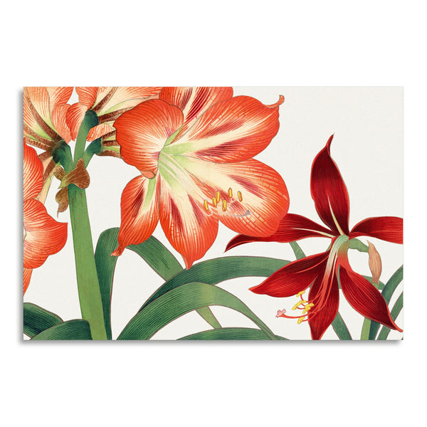 Quadro Stampa su Tela con Telaio in Legno Seiyo Soka Zufu - Vintage amaryllis flower