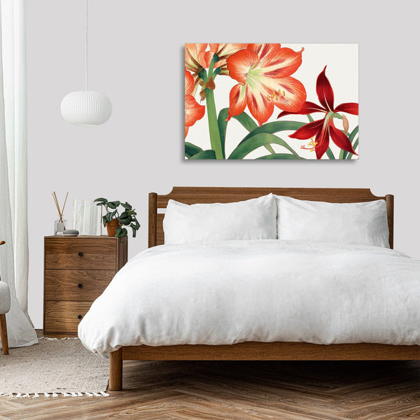 Quadro Stampa su Tela con Telaio in Legno Seiyo Soka Zufu - Vintage amaryllis flower