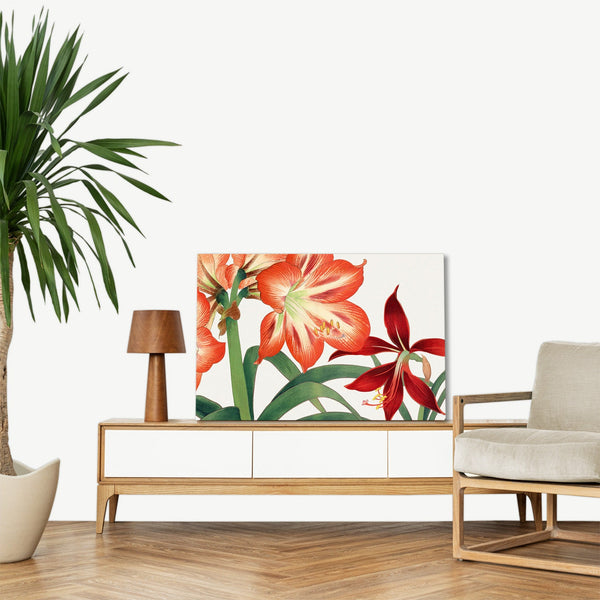 Quadro Stampa su Tela con Telaio in Legno Seiyo Soka Zufu - Vintage amaryllis flower